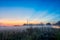 Early sunrise over foggy farm landscape in rock hill south carol