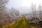 Early winter landscape with road, frosted plants and trees