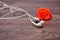 Earphones with an out of focus orange rose