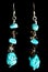 Earrings with Turquoise and Black Stones