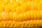 Ears of boiled appetizing corn/vegetarian concept. Close up. Ears of boiled appetizing corn. Healthy food