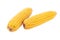 Ears of boiled corn on a white background isolate