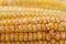 Ears of maize close up