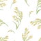 Ears of proso millet on white background seamless pattern. Vector illustration of cereal plants