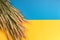 Ears of ripe wheat on the flag of Ukraine. The problem of wheat transportation and world food crisis concept. Top view. Mock up