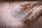 Ears of rye little heap flour on wooden board food