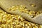 Ears of Sweet Corn and seeds in jute background with selective focus