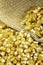 Ears of Sweet Corn and seeds in jute background with selective focus