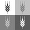 Ears of wheat, cereal. Ear of oats. rye ears. Vector icon on white-grey-black color