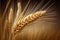 Ears of wheat close-up. AI Generated