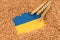 Ears of wheat and grain over Ukrainian blue and yellow flag