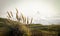 Ears of Wheat Near the Ocean