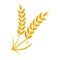Ears of wheat, symbol of a good harvest, vector illustration