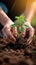 Earth care Person planting saplings, fostering environmental sustainability and growth