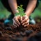 Earth care Person planting saplings, fostering environmental sustainability and growth