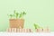 Earth day background - young peas sprouts potted in craft pot with lettering `green day` on wood cubes, seeds on white wood.