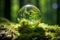 Earth Day. Beautiful Green Globe in Serene Forest with Lush Moss and Dreamy Defocused Sunlight