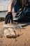 Earth day female activist puts a plastic bottle in a garbage bag