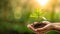 Earth Day. A woman\\\'s hand holds a tree seedling 2