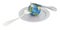 Earth globe on a plate with fork and knife, 3D rendering