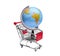 Earth globe on shopping cart shopping online