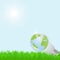 Earth in  light bulb on green grass, environmental energy saving concept