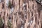 Earth Pyramids of Ritten in winter