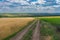 Earth road between ripe wheat fields leading to Novo-Aleksandrivka village near Dnipro city