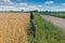 Earth road through summer fields and bicycle resting on the roadside in central Ukraine