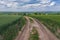 Earth road between unripe wheat fields leading to Pershe Travnia village