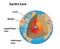 Earth`s Core in Cutaway Diagram