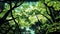 Earth\\\'s Verdant Canopy: A 3D Artistic Rendition, Made with Generative AI