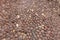 Earth tones oval pebbles road  in historic Italian town