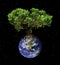 Earth tree