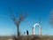 Earth, tree, a man and where a building used to be