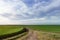 Earthen road around green field