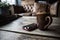 Earthen ware mug cup and mobile phone on a rustic table with empty sofa behind.