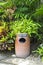 Earthenware litter bin with green plant