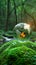 Earths oracle Crystal ball on moss represents ecological and sustainable concepts