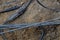 Earthwork, failure. Cables in an earth trench, protection