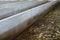 earthworm for producing manure compost fertilizer vermicompost