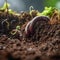 Earthworm on the surface of the soil, close-up