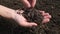 Earthworms in the farmer`s hand close-up. Live bait fishing.