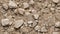 Earthy Canvas: Coarse Limestone Texture. AI generate