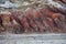 Earthy Red and Brown Striated Mineral Layers