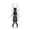 Earwig bug silhouette