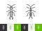 Earwig Dermaptera insect simple line vector icon