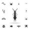 earwig. Detailed set of insects items icons. Premium quality graphic design. One of the collection icons for websites, web design,
