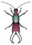 Earwig icon. Pest insect. Wild decorative animal