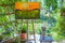 Easel with canvas art painting outdoors in a garden. Mindfulness, art therapy and creative hobbies concept.